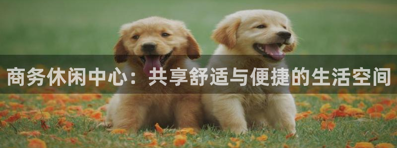 三牛娱乐
