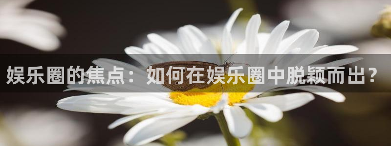 三牛娱乐：娱乐圈的焦点：如何在娱乐圈中脱颖而出？