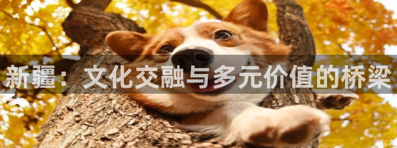 三牛娱乐：新疆：文化交融与多元价值的桥梁