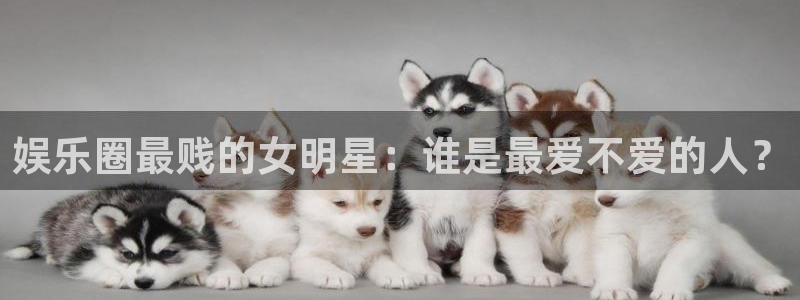 三牛娱乐：娱乐圈最贱的女明星：谁是最爱不爱的人？